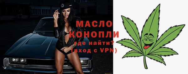 дмт Богородицк