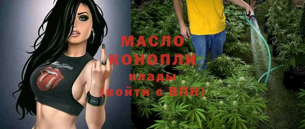 дмт Богородицк