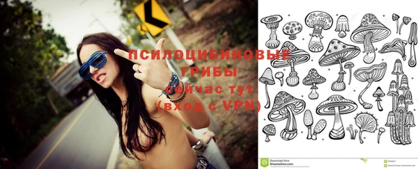 дмт Богородицк