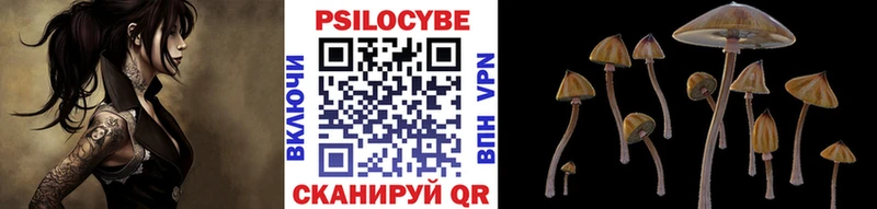 Псилоцибиновые грибы Psilocybe  Дятьково 